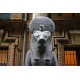 Private Cairo overday by Plane from Sharm el sheikh