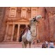 Petra overday By Plane with group from Sharm El Sheikh, sharm el sheikh excursions to petra jordan 