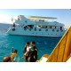 Snorkeling Boat trip to Ras Mohammed from Sharm El Sheikh - red sea excursions|Tour|Trip to Ras mohamed by boat from Sharm