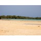 Safari Tours to the Mangroves of Nabaq National Park
