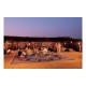 Bedouins tours (Camel riding,Bedouin dinner & Star gazing) Star Gazing trips and excursions in Sinai Desert in sharm  El Sheikh