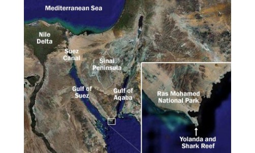 /sharmelsheikhexcursions/147-219-thickbox/private-trip-to-ras-mohamed-by-bus.jpg