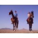 Horse Riding Safari Excursion from Sharm El Sheikh - Horseback Trip in Sharm Sinai