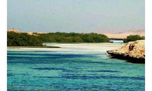 /sharmelsheikhexcursions/170-242-thickbox/sharm-el-sheikh-3-nights-4-days-tour-package-accommodation-transfers.jpg