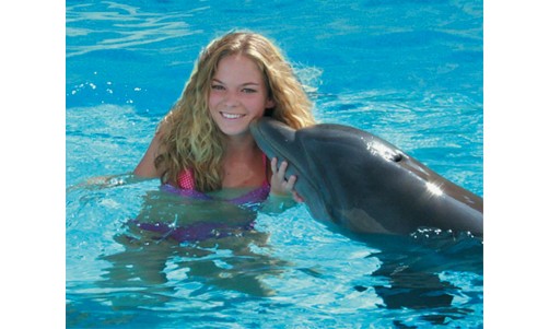 /sharmelsheikhexcursions/178-434-thickbox/swimming-with-dolphins-in-egypt-sharm-el-sheikh-swimming-with-dolphins-in-sharm-el-sheikh.jpg