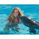 Swimming with dolphins in Egypt Sharm El Sheikh - Swimming with Dolphins in Sharm el Sheikh