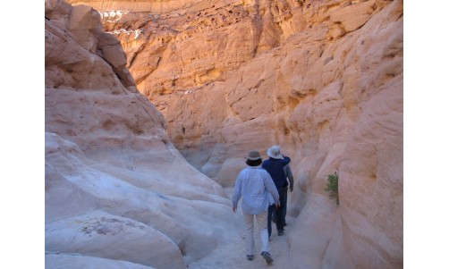 /sharmelsheikhexcursions/122-275-thickbox/colored-canyon-safari-trip-from-sharm-el-sheikh-sinai.jpg