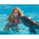Dolphin Show in Sharm El Sheikh