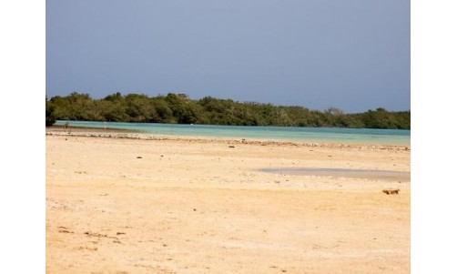 /sharmelsheikhexcursions/144-212-thickbox/safari-tours-to-the-mangroves-of-nabaq-national-park.jpg
