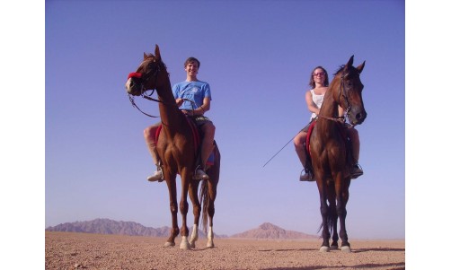 /sharmelsheikhexcursions/169-438-thickbox/horse-riding-safari-excursion-from-sharm-el-sheikh-egypt.jpg
