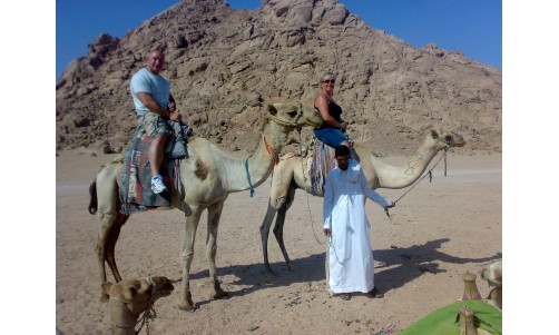 /sharmelsheikhexcursions/179-441-thickbox/camel-riding-safari-excursion-from-sharm-el-sheikh-riding-camel-trip-in-sinai-desert-sharm-el-sheikh-egypt.jpg