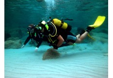 PADI Open Water Diver Course in Sharm el Sheikh  