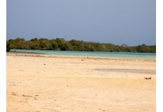 Safari Tours to the Mangroves of Nabaq National Park 