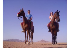 Horse Riding Safari Excursion from Sharm El Sheikh - Horseback Trip in Sharm Sinai 