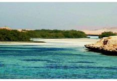 Sharm El Sheikh 3 nights 4 days tour package (accommodation & transfers) 