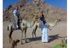 Camel Riding Safari Excursion from Sharm El Sheikh - Riding Camel Trip in Sinai desert Sharm El sheikh Egypt 